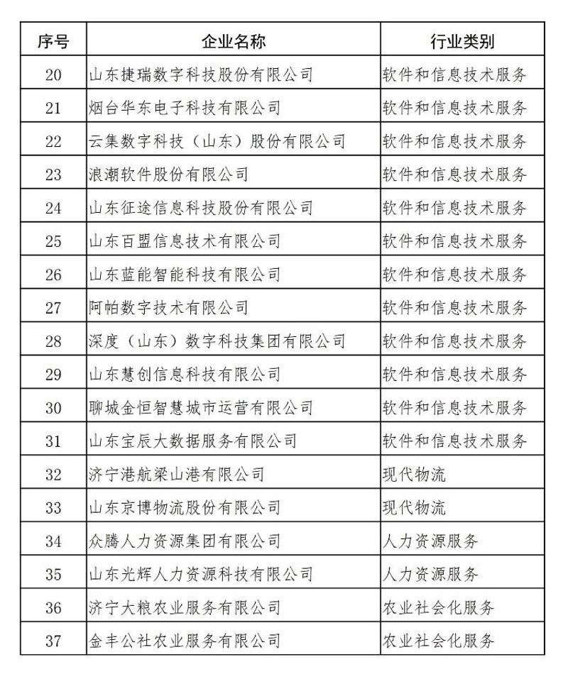 烟台技术咨询